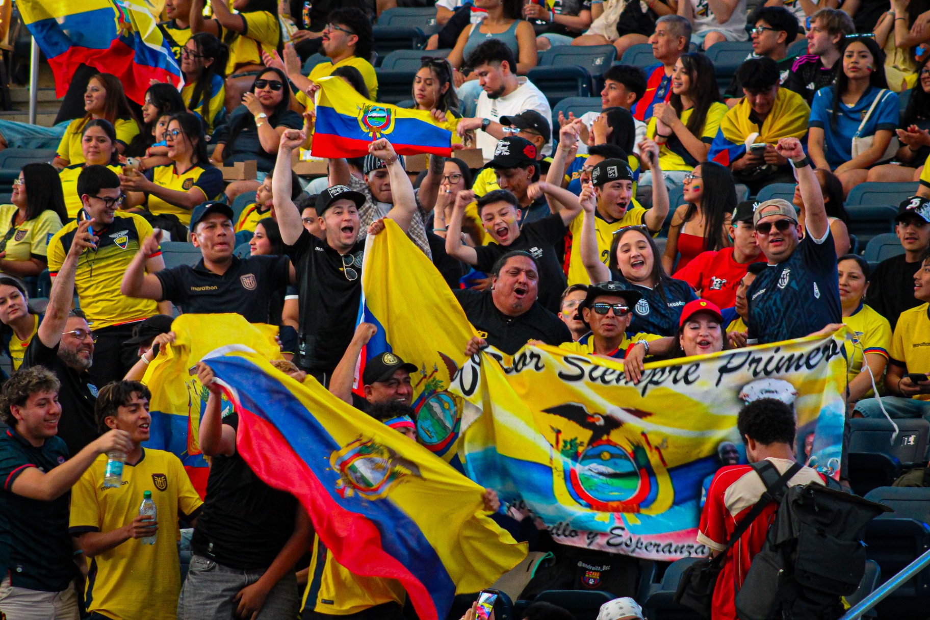Ecuador fans with flags in the stands