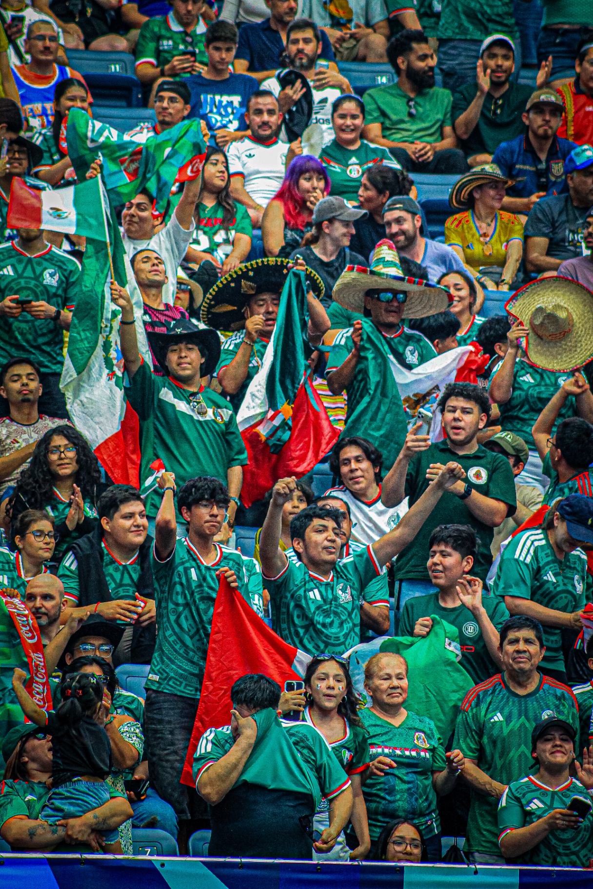 Mexico fans waving flags