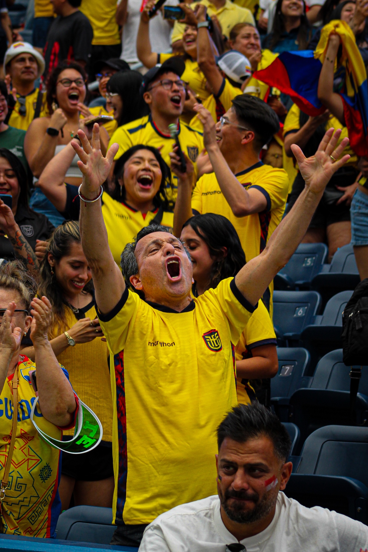 Crowd celebrating a goal